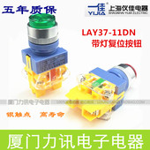 Y090 一佳 带灯开关 LAY37 11DN 带灯自复位按钮 YJ139
