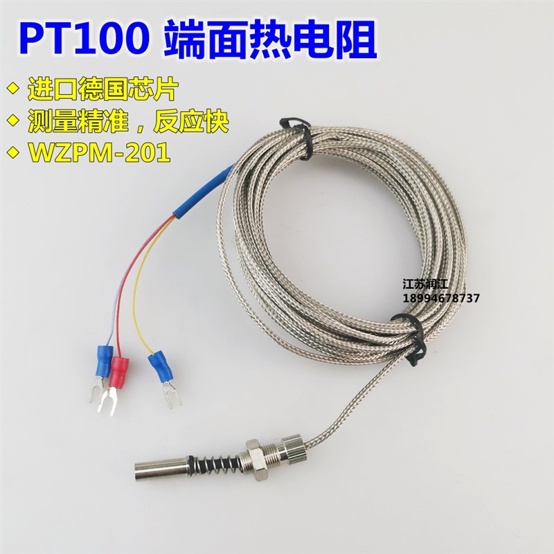 WZPM-201端面热电阻 Pt100端面电阻 温度探头 温度传感器表面