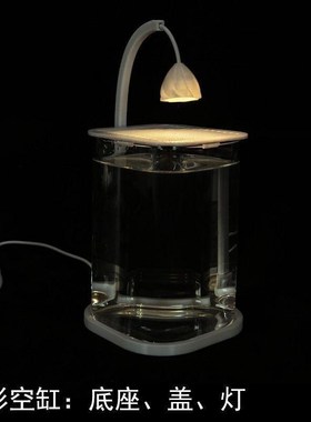 鱼缸网红斗鱼专用超白小型玻璃缸B客厅桌面创意摆件高级生态观赏