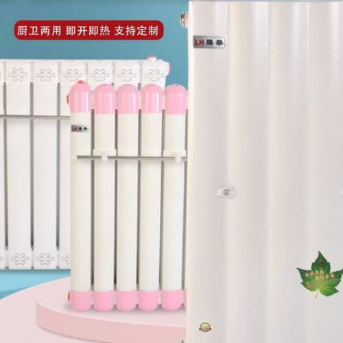 储水换热器壁挂式卫生间暖气片板式过水热地暖不锈钢内胆交换器