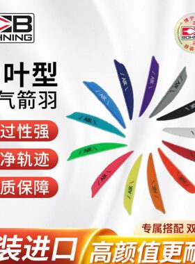 博宁柳叶箭羽Air2寸Ice3寸Zen4寸高通过性反曲复合通用100片装