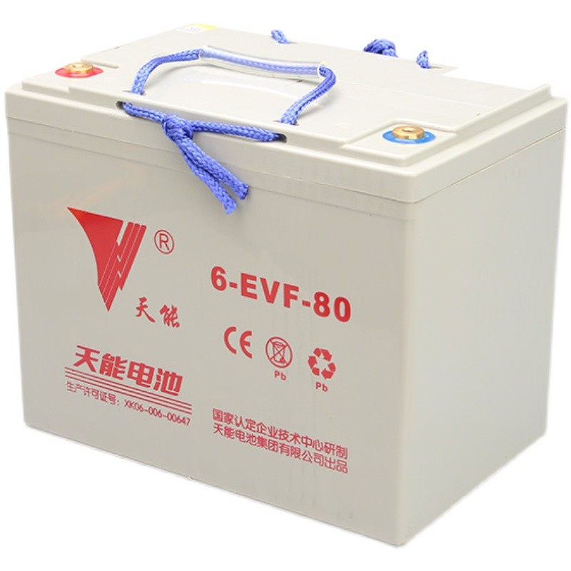 中力小金刚电动叉车配件电瓶蓄电池12V30A65A85A天能电池大地牛