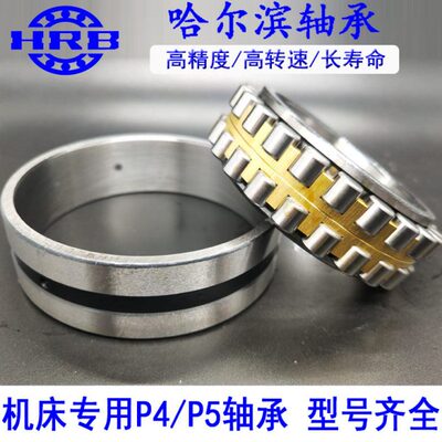 NN3005 3006 哈尔滨轴承3007 3008 3009 3010 3011 3012 3013K P4