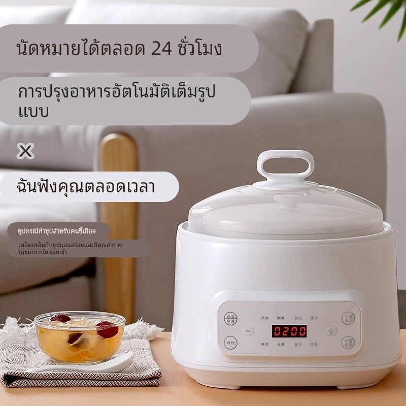 德国GFS炖盅多功能隔水炖家用煲炖汤锅I炖燕窝一体式大容量电炖锅