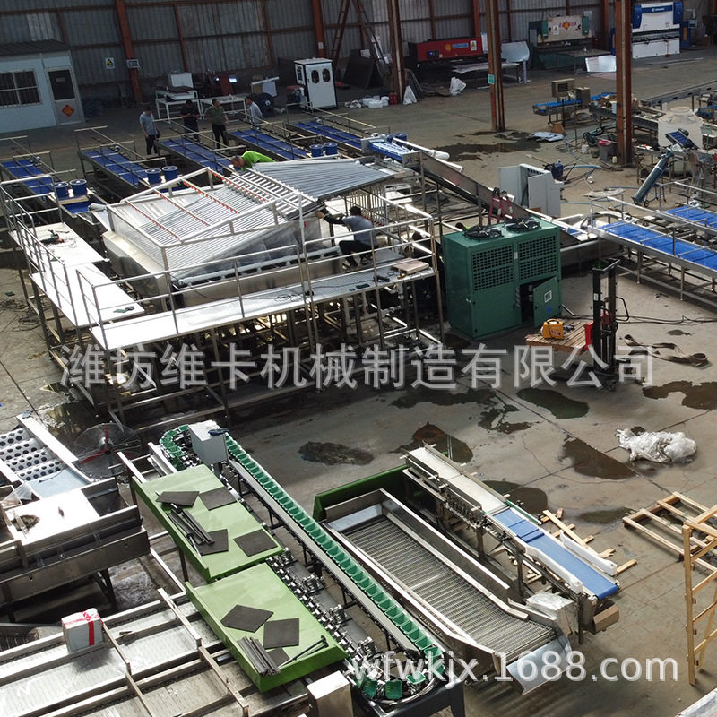 车厘子直径分拣机 预冷清洗分选保鲜 樱桃大樱珠选果流水线分选机,清洗/食品/商业设备,选果机/分选机,淘宝优惠券,粉丝福利购,淘宝优惠卷