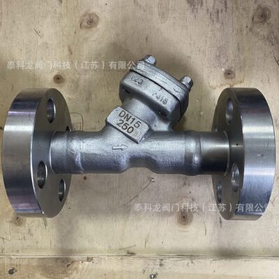 GL41H-250R 不锈钢 F316 压Y型过滤器 DN15 20 25 32 40 50