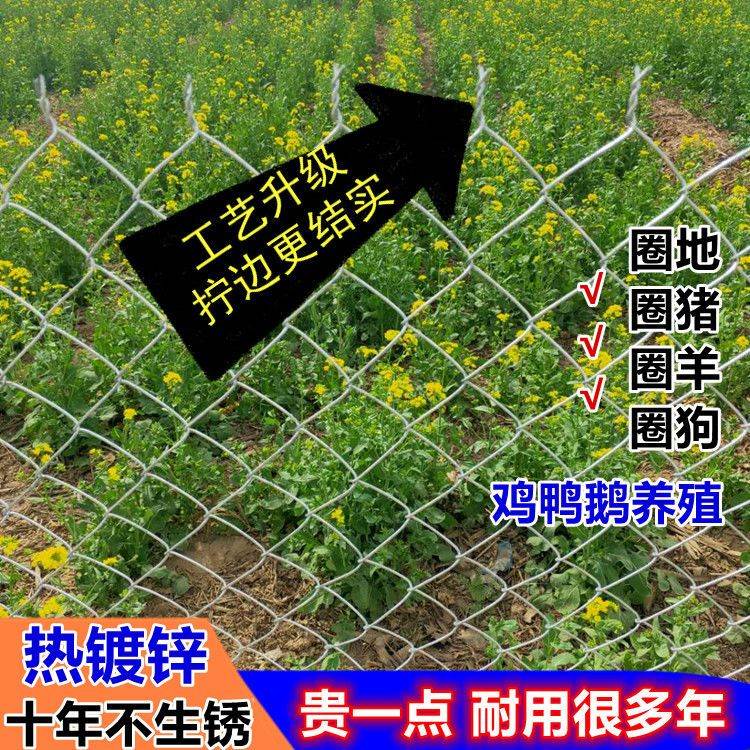 镀锌铁丝网钢丝勾花网护栏网养猪养羊养狗围栏鸡鸭果园鱼塘防护