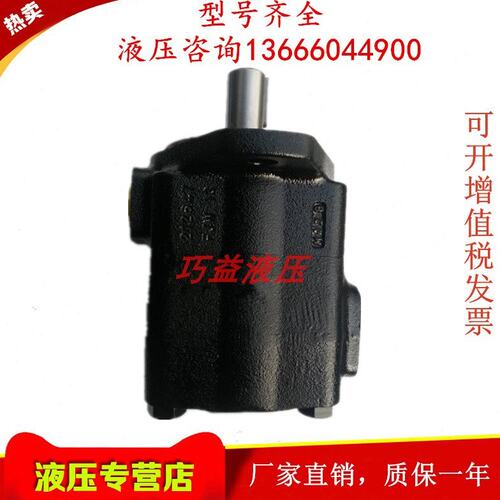德国叶片泵 PVV2/1-1X/027/055/60/040/036/045-RA15L/U/DMB 油泵
