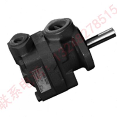 V10V20系列现货V20-1P6P/1P7P/1P8P/1P9P-1A/1B/1C/1D-1020叶片泵