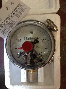 上海天川仪表YNXC-100磁助式耐震电接点压力表0-40MPA 50VA