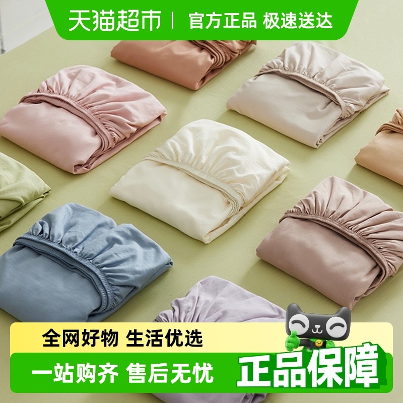 夏季全棉床笠单件2025新款床垫罩床单床罩Z三件套春秋