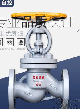 J41B/N-25C液氨氨气液化气天然气暗杆铸钢法兰氨用截止阀DN15-400