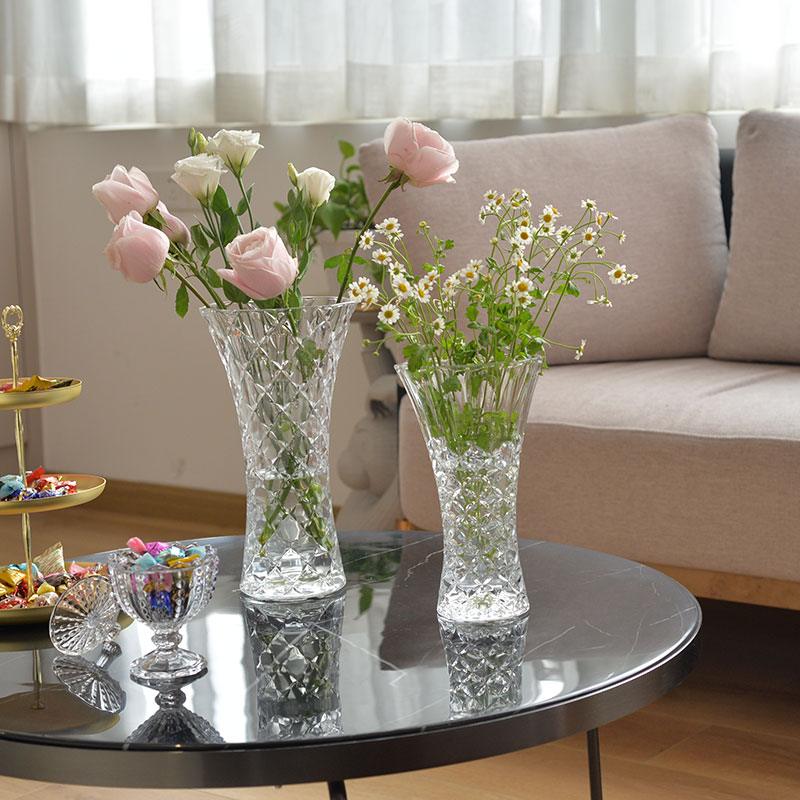 花瓶玻璃透明圆口大大号怪好看的跳舞兰轻奢鲜花玻璃花瓶大口广口
