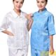 上衣防尘防静电洁净服夏天工作服 无尘静电衣洁净短袖 短袖 夹克