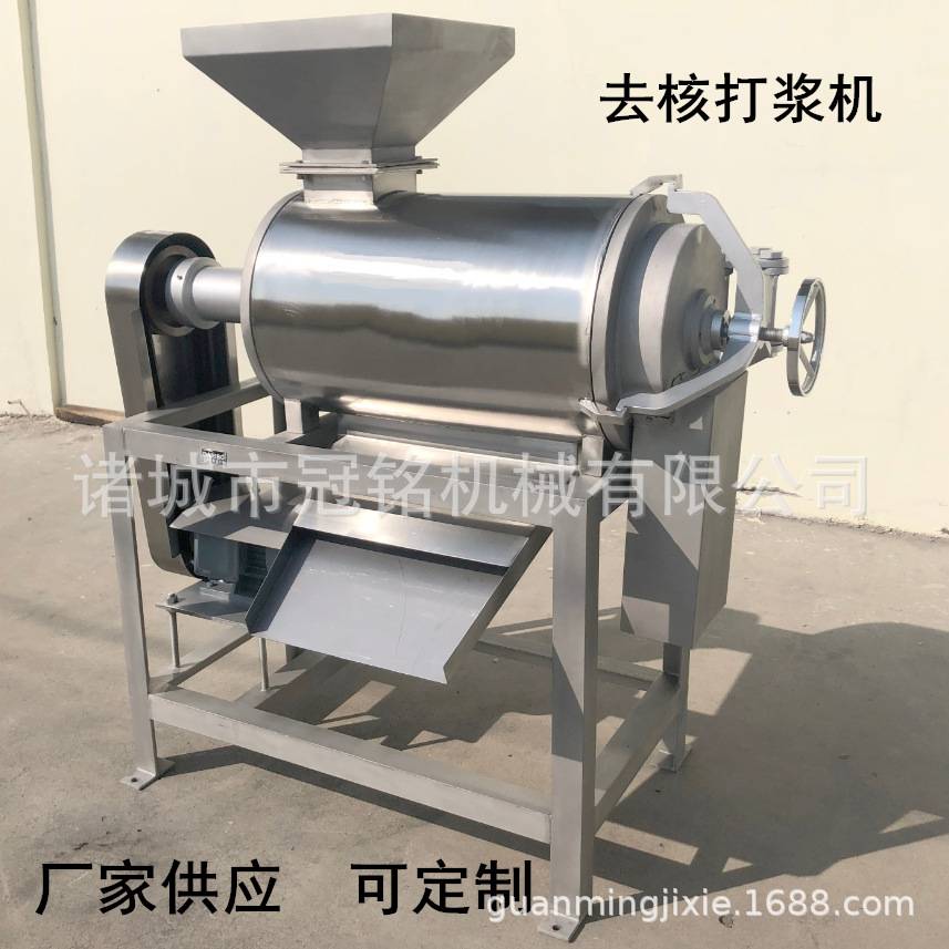 厂家供应杨梅去核打浆机 浆果类榨汁机 食品厂柑橘去核去渣打浆机