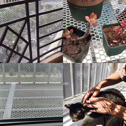 鸡用加厚漏粪板鸭鹅禽用塑料鸡舍接粪板鱼虾养鸡设备鸡舍养殖器械