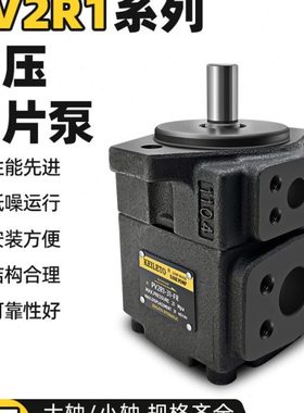 台湾KEILETO凯利通PV2R1-31-FP叶片泵PV2R1-28/25/23/21/19/17-FR