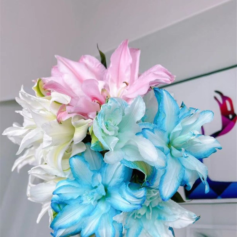 混色残次百合(气温低于零下必拍保温,不S拍冻坏不售后)