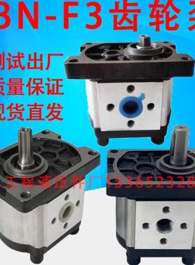 B 齿轮油泵4C8 FN32 C140E32-EE6 165303 BN F3123310 F-F F 3030