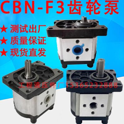 B 齿轮油泵4C8 FN32 C140E32-EE6 165303 BN F3123310 F-F F 3030