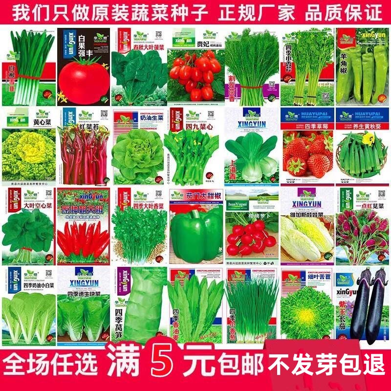 蔬菜种子四季播盆栽庭院阳台朝天椒生菜甜瓜简单春易种籽孑大全