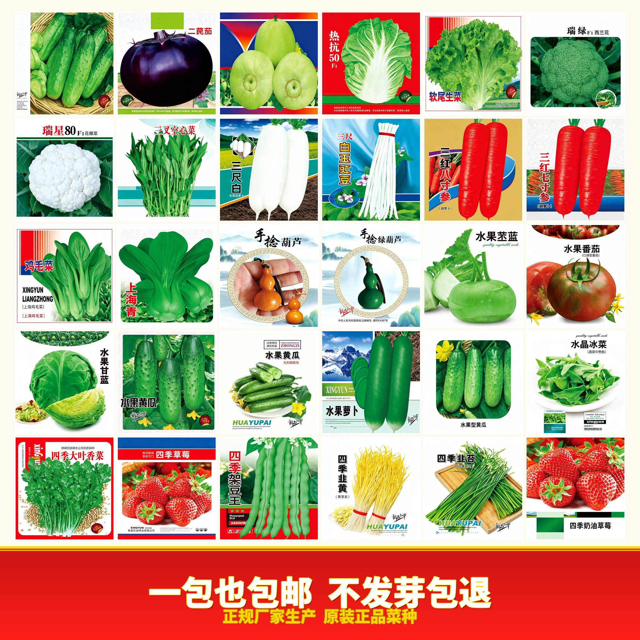 蔬菜种子四季播盆栽庭院阳图片
