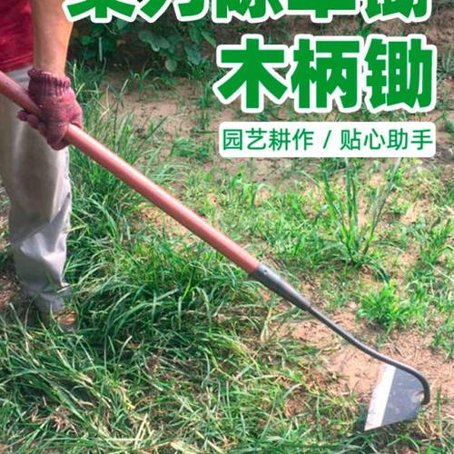 户外除草锄头进口开荒种菜两用全钢园林艺大号专用除草开垦耙子