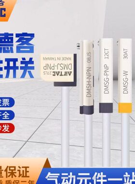亚德客磁性开关CMSG/J/E/H感应器DMSG-NPN/DMSJ/DMSE020传感器050