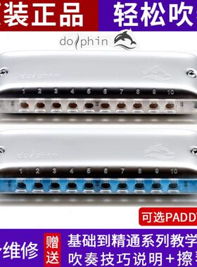 园园同款Boogieman新款海豚十孔布鲁斯蓝调10孔口琴PADDY音阶口琴