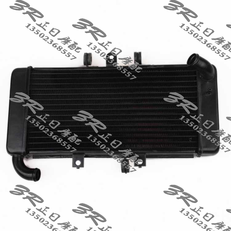 摩托车配件 :FZ400 水箱  散热水箱 钢模注塑