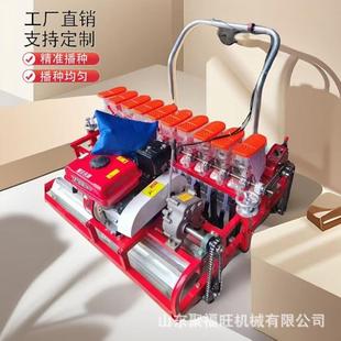 汽油蔬菜药材播种机香菜菠菜芹菜点播机花卉草坪小颗粒精播机
