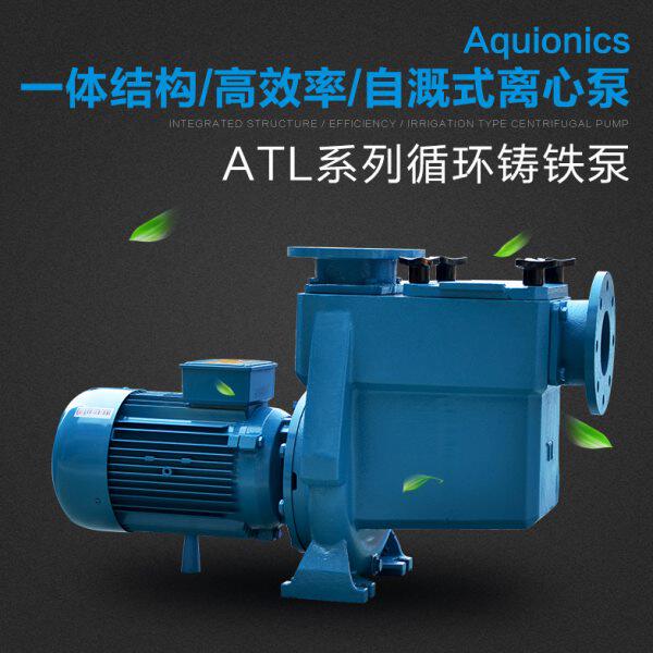 Aquionics游泳池过滤设备循环水泵带毛发聚集器鱼池浴池水疗水泵