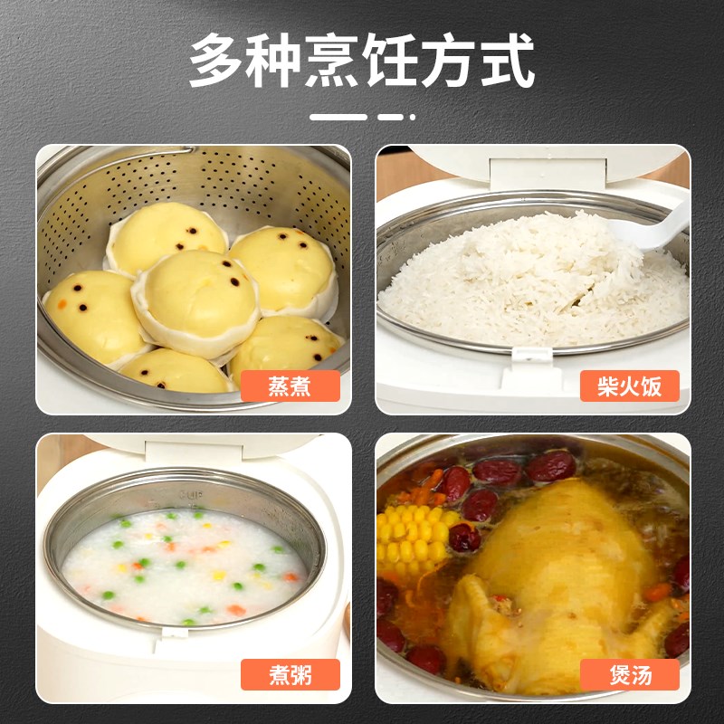 0涂层110v出口电饭煲家用低糖饭电饭锅台湾加拿大美国海外小家电