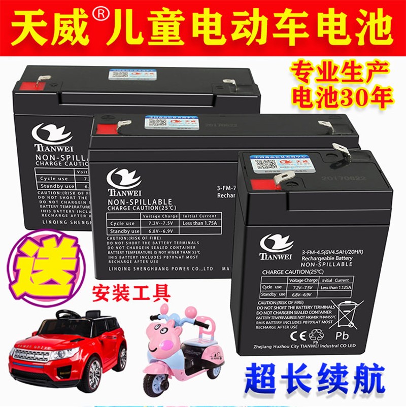 儿童电动汽车6伏12伏6V12V电瓶玩具遥控摩托童车蓄电池充电器配件