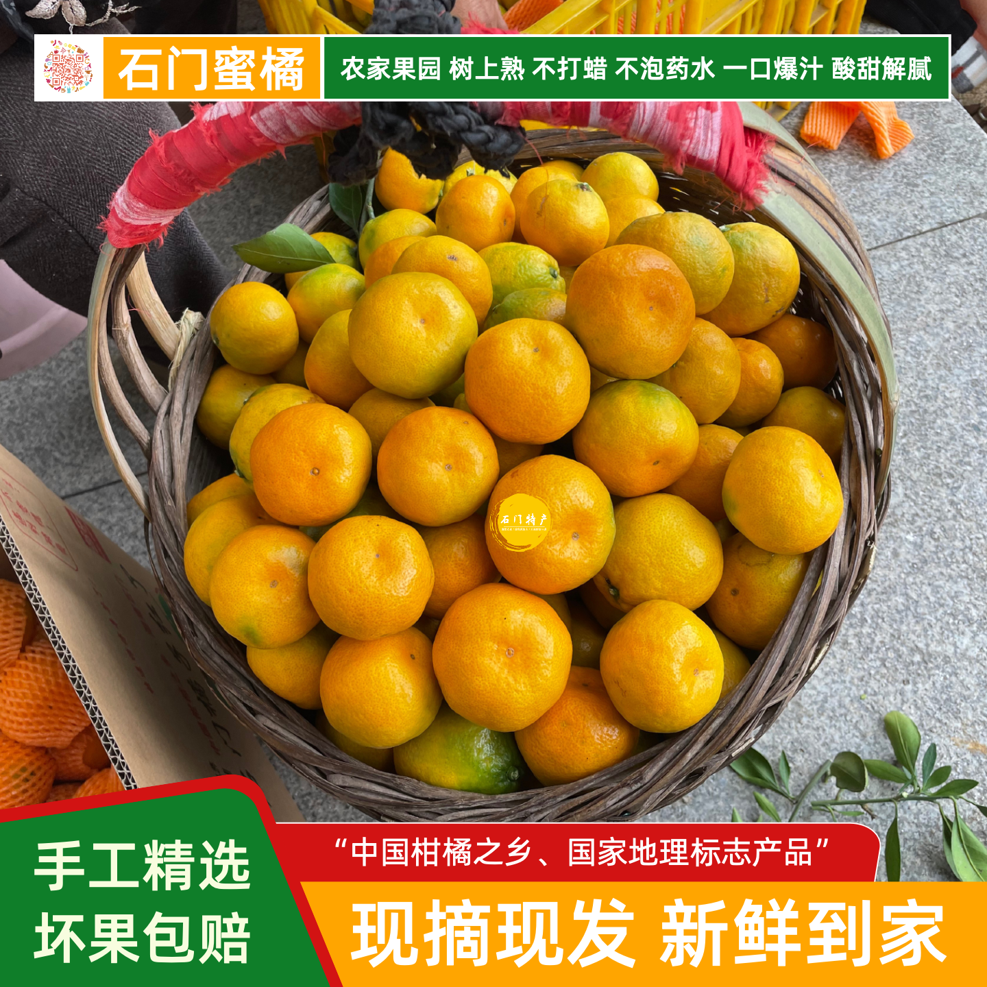 石门蜜橘柑橘桔子一口爆汁酸甜解腻农家果园现摘现发当季新鲜水果,水产肉类/新鲜蔬果/熟食,桔子,淘宝优惠券,粉丝福利购,淘宝优惠卷