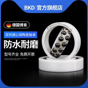 德国BKD进口全陶瓷轴承1304 1305 1306 1307 1308CE/P4 P5