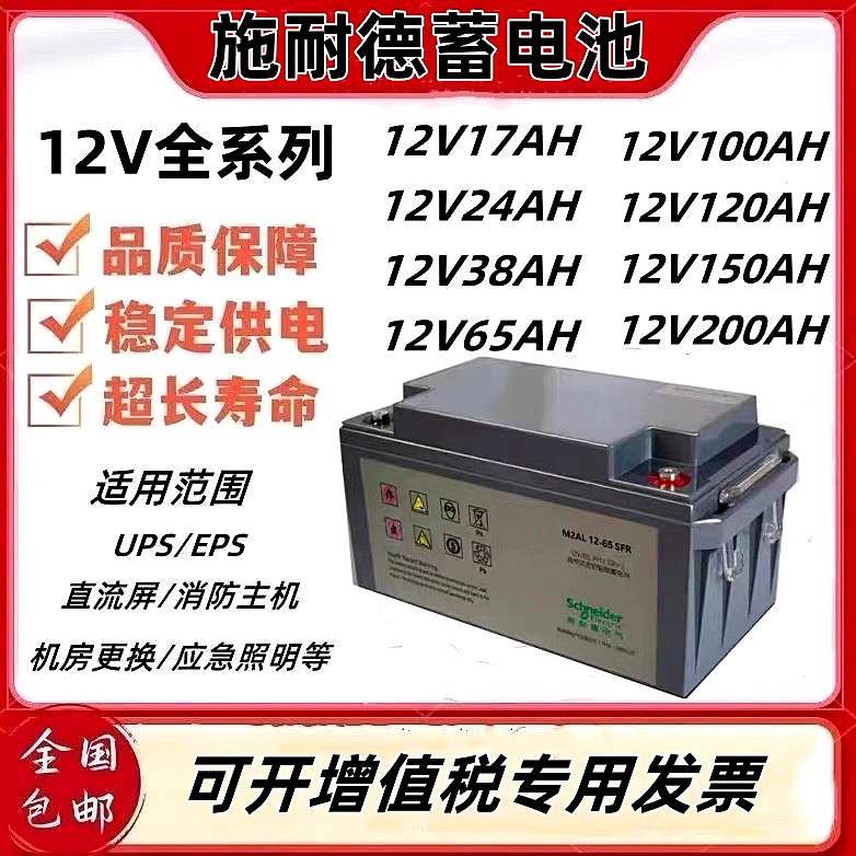 APC schneider 蓄电池M2AL12V100 24  40 65 120AH机房直流屏专用