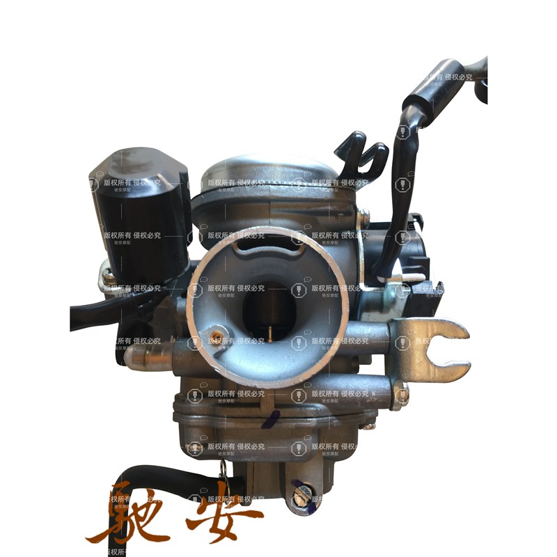 五羊小公主喜悦优悦睿御摩托车WH100T-A-H-F-G GCC/SCR电感化油器