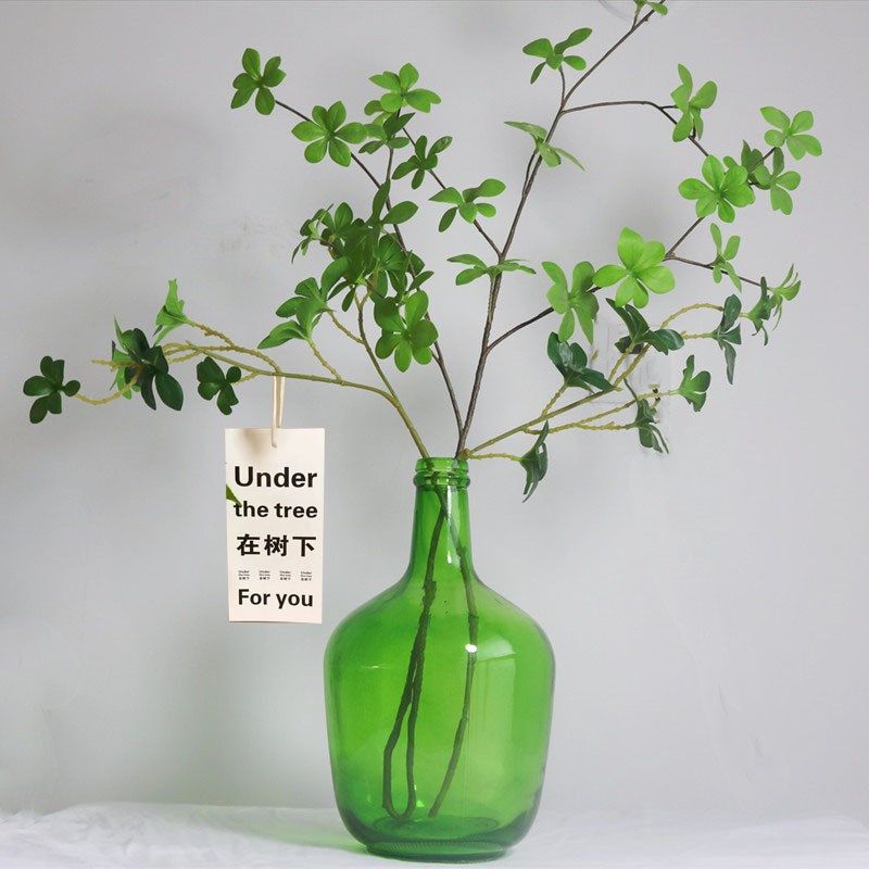 简约玻璃瓶小口大肚花瓶马醉木吊钟插花客厅摆件水培装饰大号,橡塑材料及制品,玻璃容器/玻璃瓶,淘宝优惠券,粉丝福利购,淘宝优惠卷