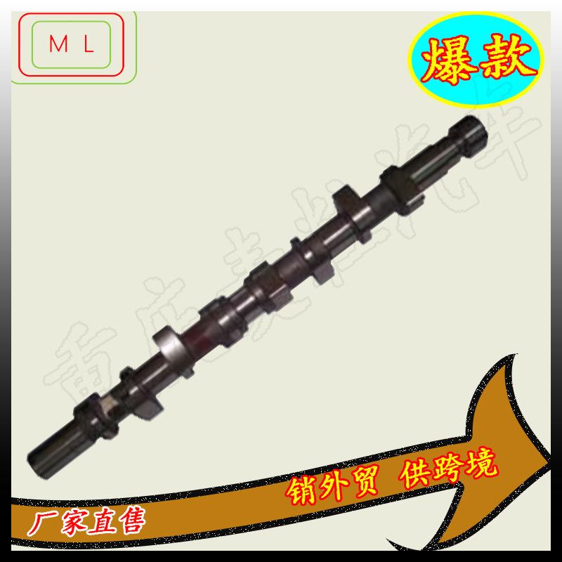 大修包凸轮轴1006015D9B1