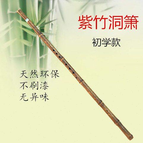萧乐器初学入门短萧零基础萧古萧长萧紫竹箫古风洞箫八孔g调f调