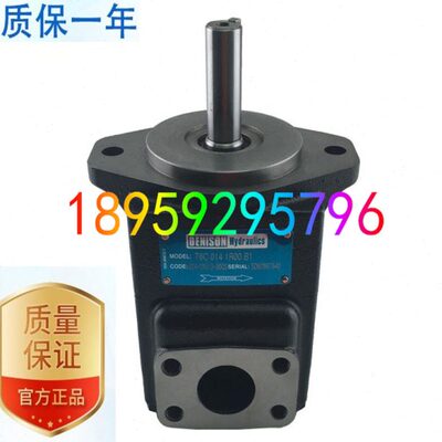 T6CC 031 003/005/006 1R00/1R01/1R02/1R03 C100/C110丹尼逊油泵