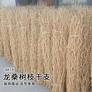 干树枝去皮龙桑干枝枯树枝枯木树干挂件造型壁挂龙柳枝条家居装饰