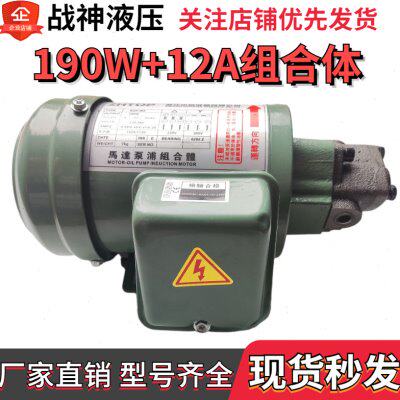 摆线电机配TOP-12A 三角油泵 油泵电机 380V190W电机配三角泵组合