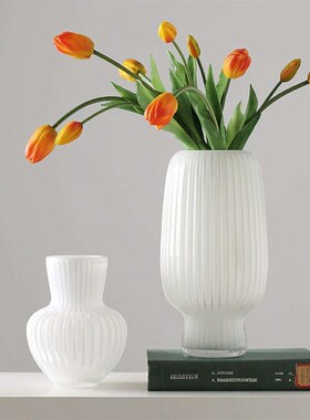 isn风花d瓶玻璃花盆白色高级感轻奢水培养插花客厅桌面装饰摆件