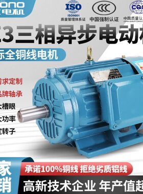 Y铝壳 Y电机 0 YEEV国标3三相异步电机芯381.5KW冠4E龙2马达全铜