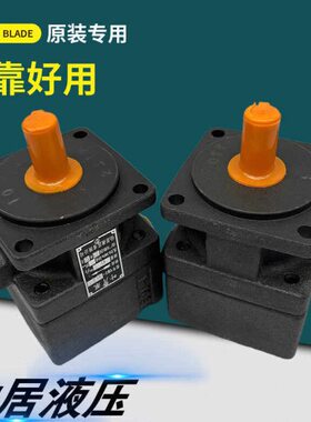 04油泵3.Y-12/1652.5居叶6/仙/10 8/片1020/32/12/50/25B1/40 0/