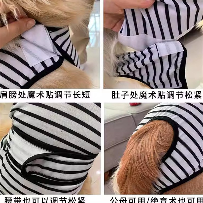 金毛拉布拉多连身生理裤全包中大型犬柴犬母狗狗女狗绝育术後