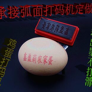 机器 机蛋壳打生产日期鸡蛋印字模打码 鸡蛋印码 机商标图案喷印喷码