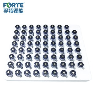 FORTE孚特CR123A奥林巴斯照相机烟雾报警器水表3V锂电池CR17345